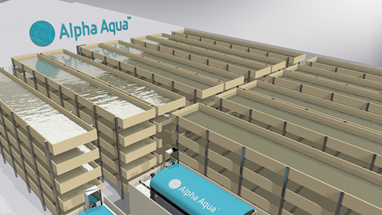 Alpha Aqua The Global Future Of Aquaculture Alpha Aqua